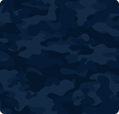 bg-auth